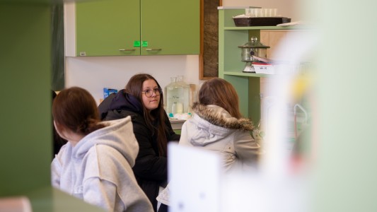 Kliknij, aby powiększyć zdjęcie.